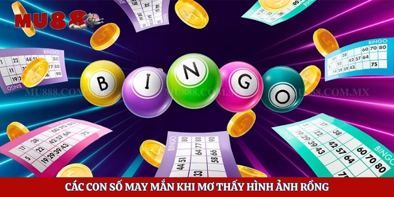 Các con số may mắn khi mơ thấy hình ảnh rồng