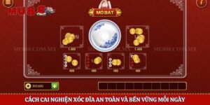 Cách Cai Nghiện Xóc Đĩa An Toàn Và Bền Vững Mỗi Ngày