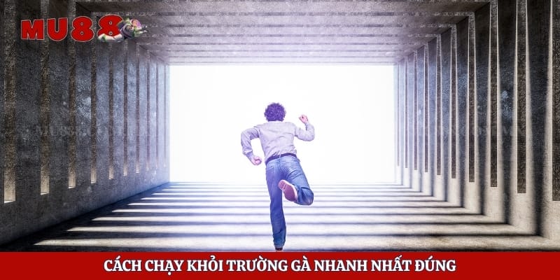 Cách chạy khỏi trường gà nhanh nhất đúng
