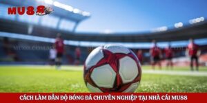 Cách Làm Dẫn Độ Bóng Đá Chuyên Nghiệp Tại Nhà Cái Mu88