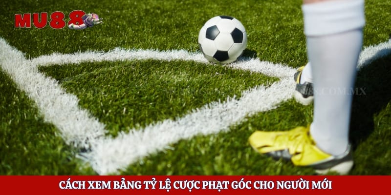 Cách xem bảng tỷ lệ cược phạt góc cho người mới