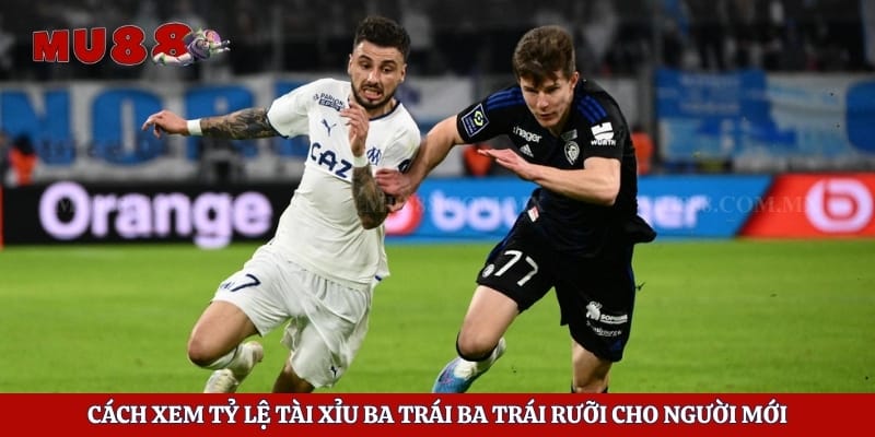 Kèo Tài Xỉu - Chiến Thuật Soi Cầu Lật Đổ Mọi Sân Chơi 5 Cách xem tỷ lệ tài xỉu ba trái ba trái rưỡi cho người mới