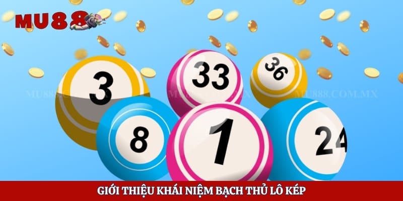 Giới thiệu khái niệm bạch thủ lô kép