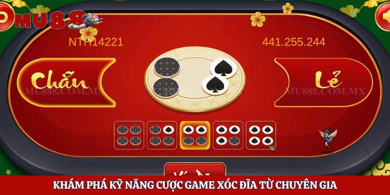 Khám phá kỹ năng cược game xóc đĩa từ chuyên gia