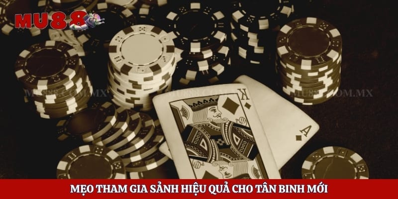 Mẹo tham gia sảnh hiệu quả cho tân binh mới 