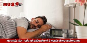 Mơ Thấy Rắn – Giải Mã Điềm Báo Và Ý Nghĩa Từng Trường Hợp