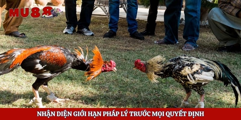 Nhận diện giới hạn pháp lý trước mọi quyết định
