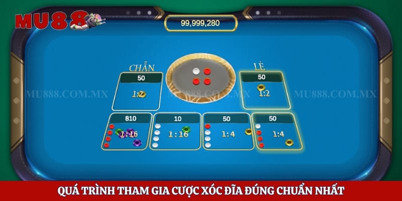 Quá trình tham gia cược xóc đĩa đúng chuẩn nhất