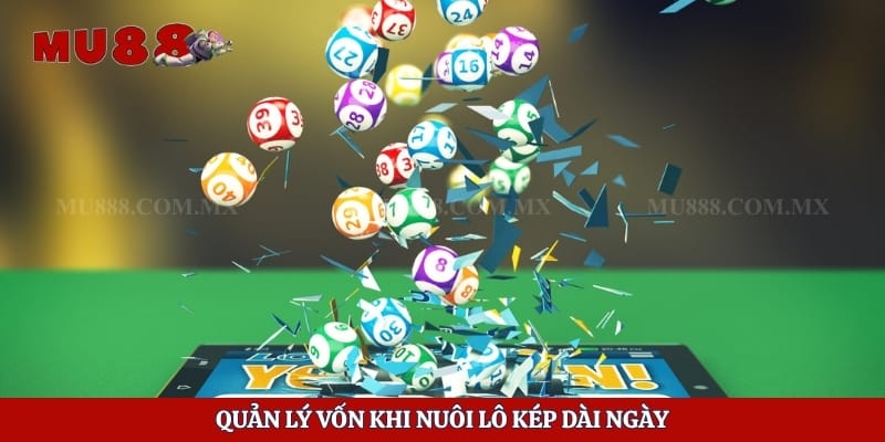 Quản lý vốn khi nuôi lô kép dài ngày