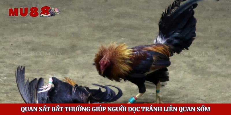 Quan sát bất thường giúp người đọc tránh liên quan sớm