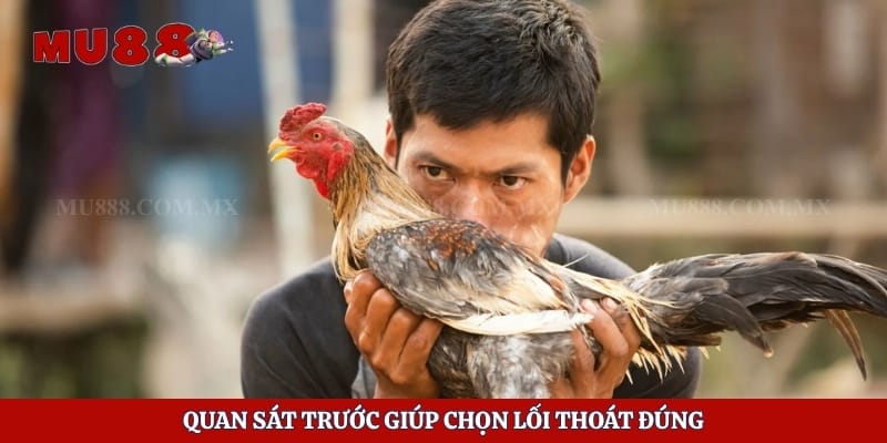 Quan sát trước giúp chọn lối thoát đúng