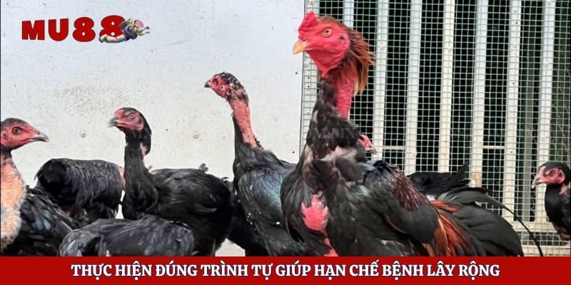Thực hiện đúng trình tự giúp hạn chế bệnh lây rộng