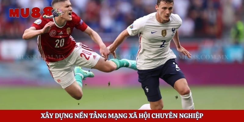 Xây dựng nền tảng mạng xã hội chuyên nghiệp