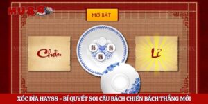 Xóc Đĩa Hay88 – Bí Quyết Soi Cầu Bách Chiến Bách Thắng Mới