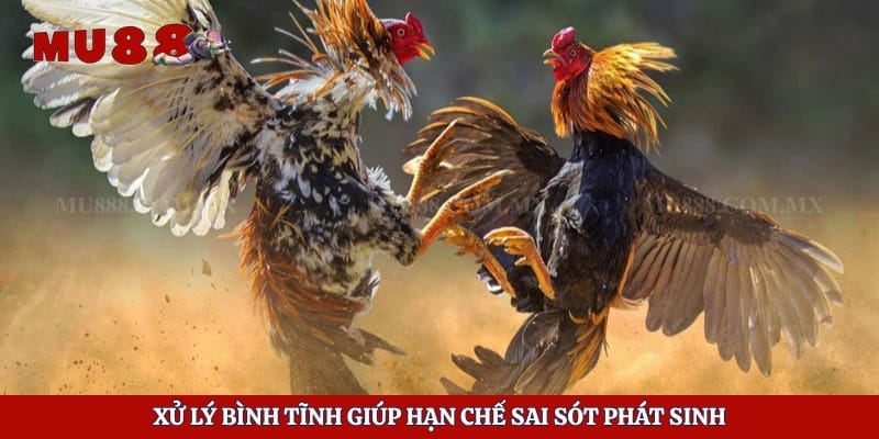 Xử lý bình tĩnh giúp hạn chế sai sót phát sinh